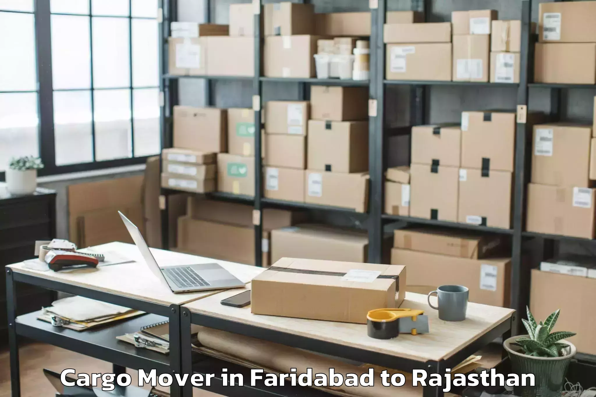 Book Faridabad to Makrana Cargo Mover